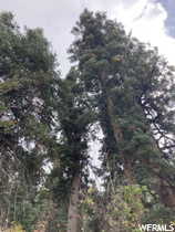 Exterior space