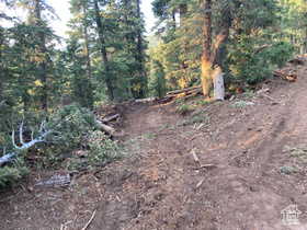 View of nature