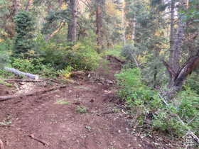 View of landscape with a view of trees