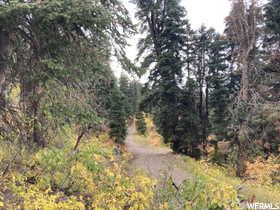 View of street