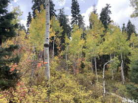 View of landscape featuring a view of trees