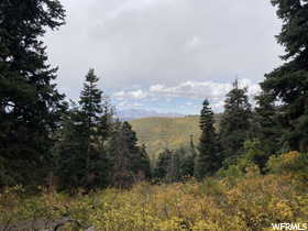 View of nature with a wooded view