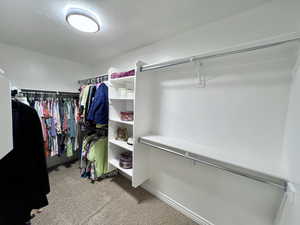 Primary bedrooms walk in closet featuring carpet