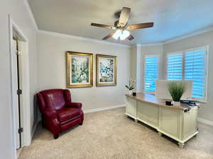 Home office featuring crown molding, light colored carpet, a ceiling fan, a textured ceiling, and baseboards