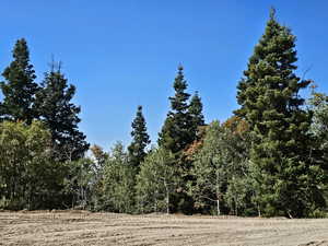 View of landscape