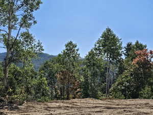 View of mountain feature featuring a wooded view