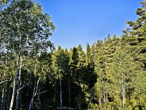 View of landscape featuring a wooded view