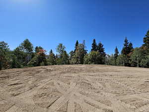 View of landscape