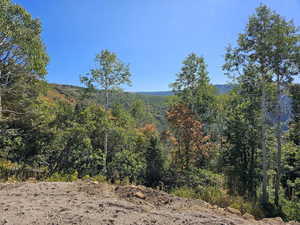 Property view of mountains with a forest view