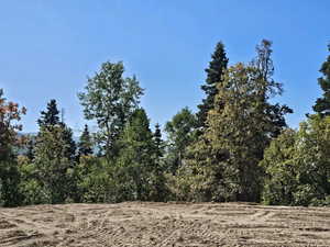 View of nature