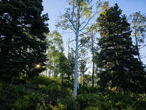 View of nature