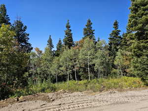 View of landscape featuring a forest view