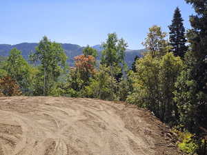 Mountain view featuring a forest view