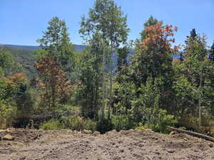 View of landscape with a view of trees