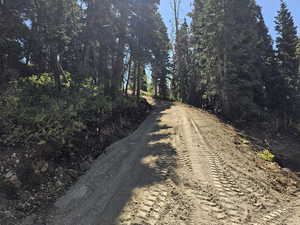 View of road