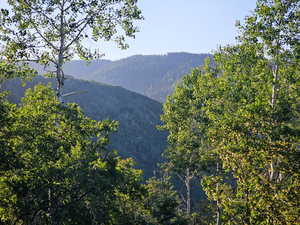 Mountain view with a forest view