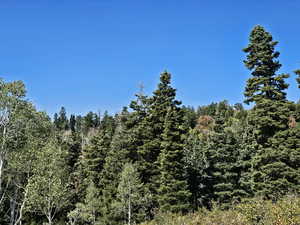 View of nature featuring a wooded view