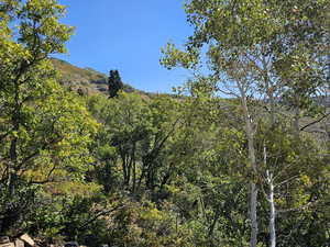 View of landscape featuring a forest view