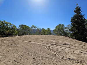 View of local wilderness