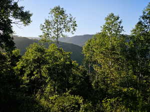 View of mountain feature featuring a forest view