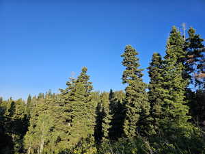 View of nature featuring a wooded view