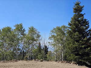 View of landscape
