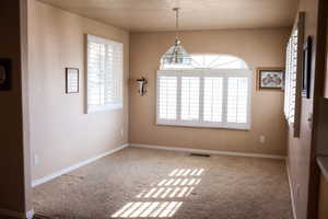 Unfurnished room featuring visible vents, a textured ceiling, baseboards, and carpet flooring