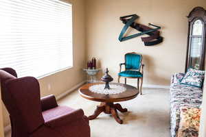 Living area featuring carpet floors, plenty of natural light, and baseboards