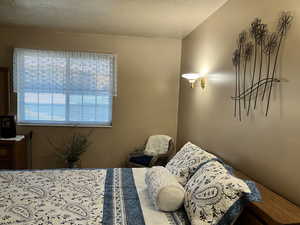 Bedroom with a textured ceiling