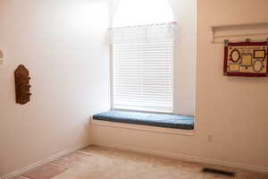 Interior space featuring carpet, visible vents, and baseboards