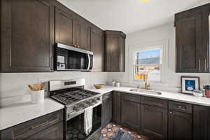 Kitchen with dark brown cabinetry, stainless steel appliances, and a sink