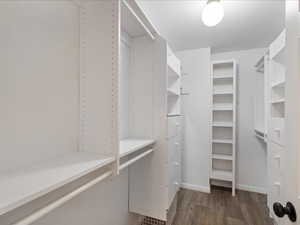 Spacious closet featuring dark wood-style floors