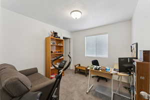 Carpeted office space with a textured ceiling