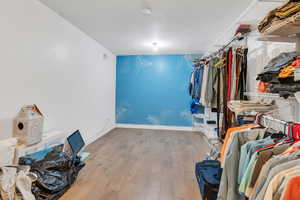 Spacious closet with wood-type flooring