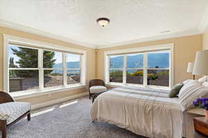 Bedroom with visible vents, a textured ceiling, crown molding, carpet floors, and a mountain view