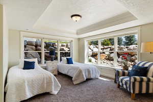 Carpeted bedroom featuring ornamental molding, a tray ceiling, and a textured ceiling