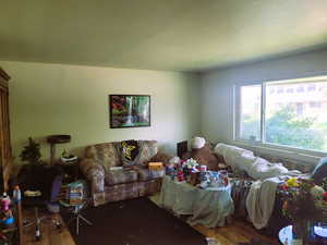 Living area featuring a textured ceiling and wood finished floors