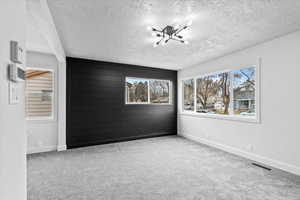 Carpeted spare room featuring visible vents, wood walls, a textured ceiling, and baseboards