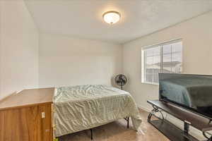 Bedroom with carpet, baseboards, and a textured ceiling