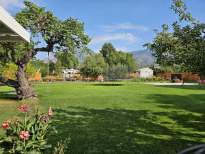 View of yard featuring a trampoline, an outbuilding, a storage unit, a mountain view, and fence