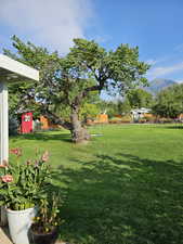 View of yard featuring a mountain view