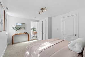 Bedroom featuring baseboards, visible vents, and carpet flooring