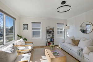 Living area featuring crown molding, baseboards, and wood finished floors