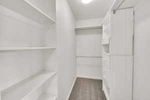 Spacious closet featuring carpet floors
