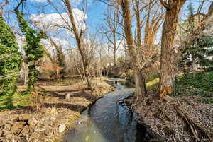 View of nature