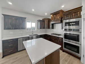 Kitchen featuring stainless steel appliances, premium range hood, a sink, dark brown cabinets, and light countertops