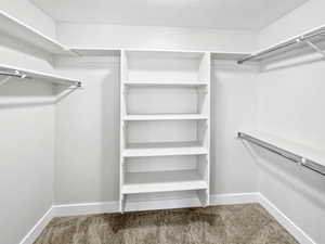 Walk in closet with carpet floors