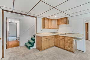 Kitchen with light countertops, light carpet, a sink, and a drop ceiling