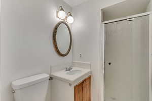 Master bathroom featuring a stall shower, vanity, and toilet