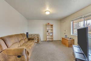 Carpeted living area with a textured ceiling and baseboards